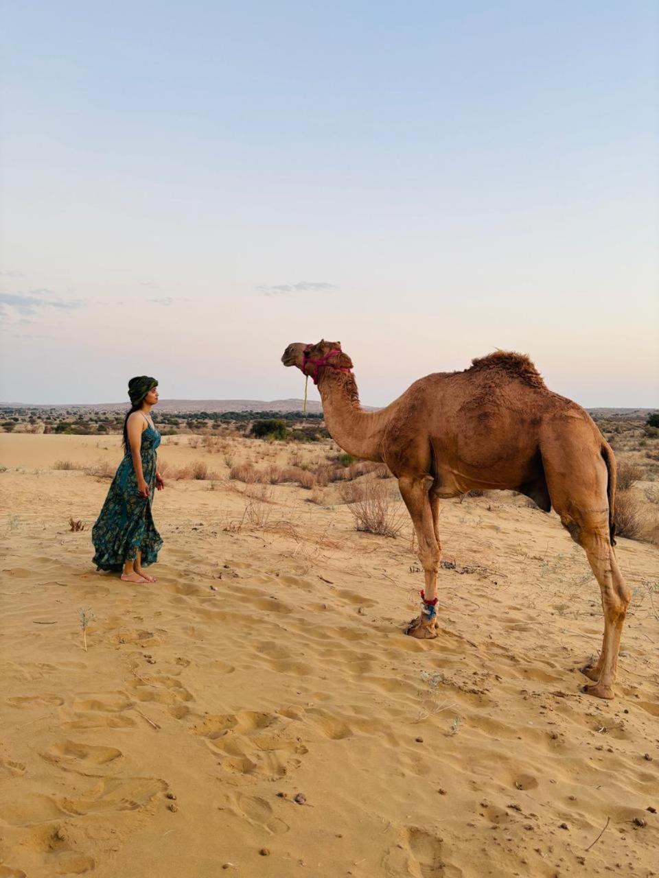 Crazy Camel Hotel & Safari 자이살메르 외부 사진